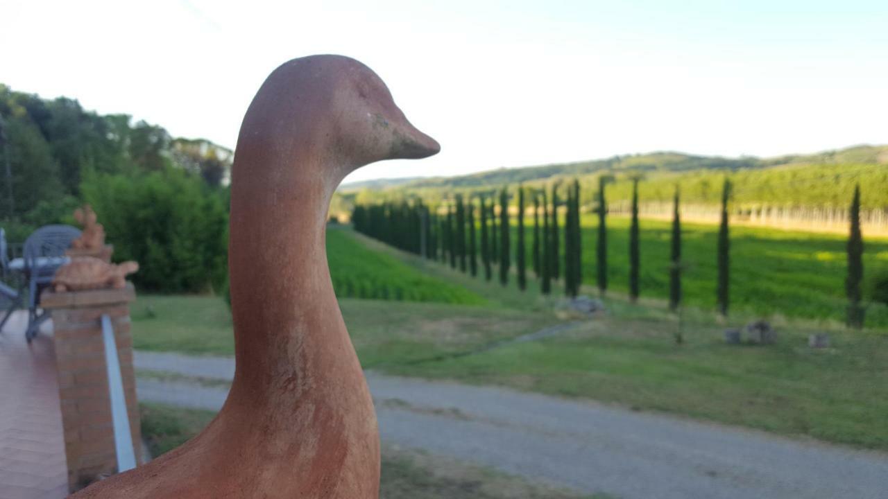 Podere Chiasso Gherardo Peccioli 外观 照片