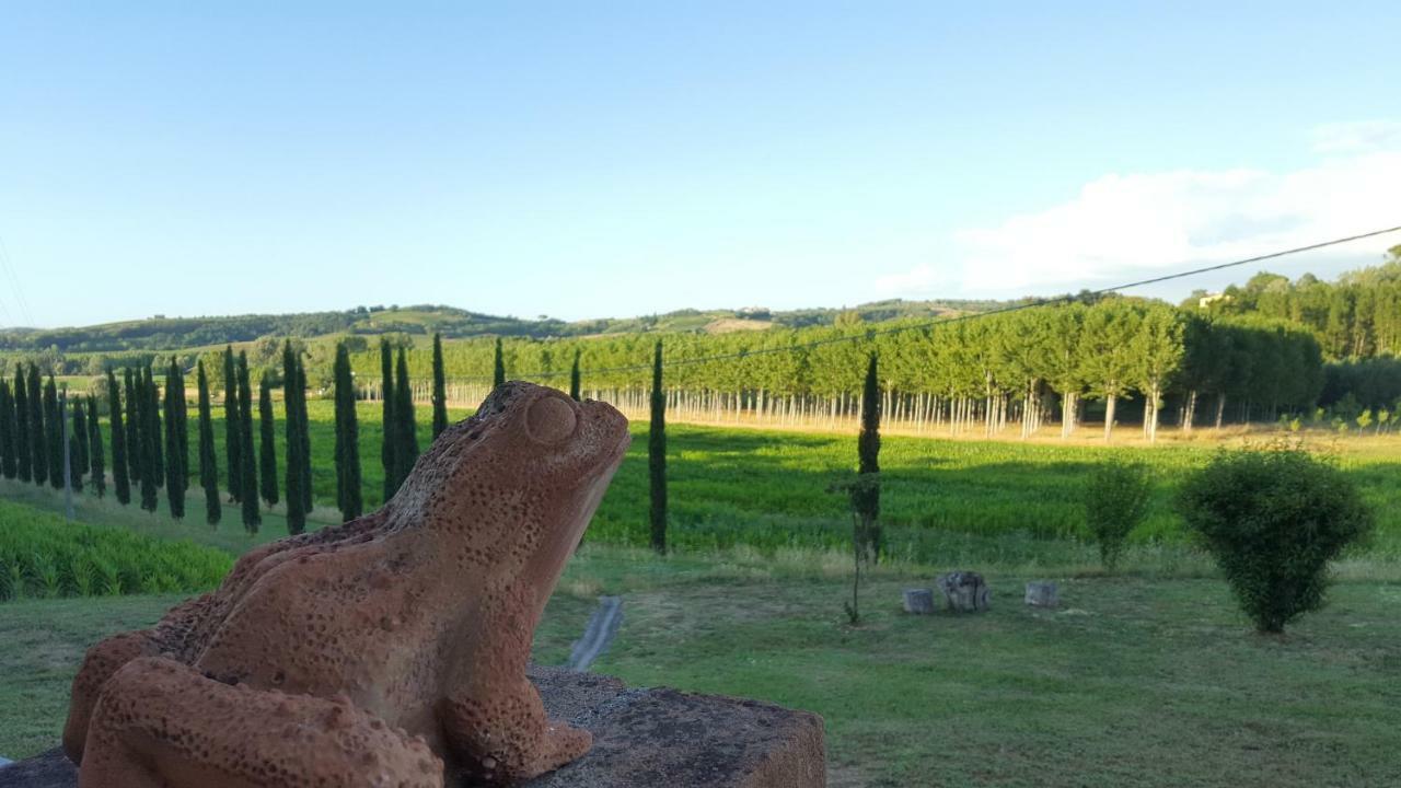Podere Chiasso Gherardo Peccioli 外观 照片