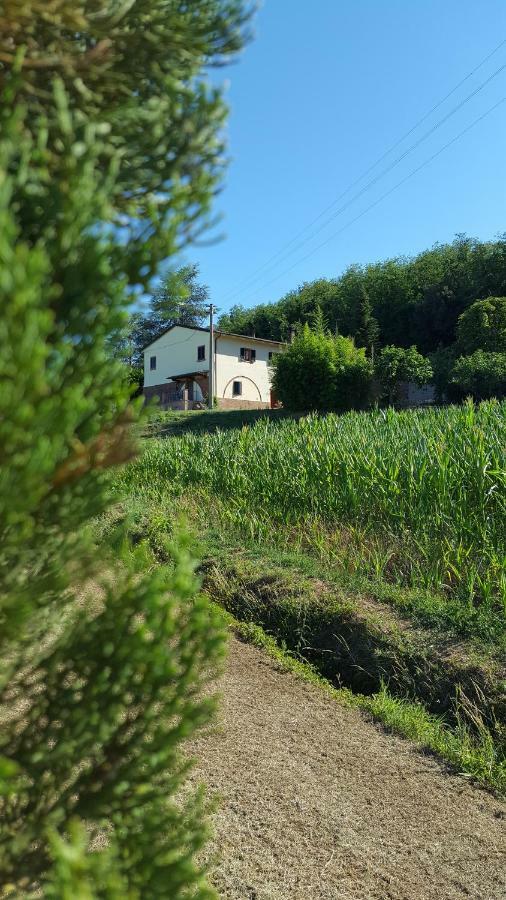 Podere Chiasso Gherardo Peccioli 外观 照片