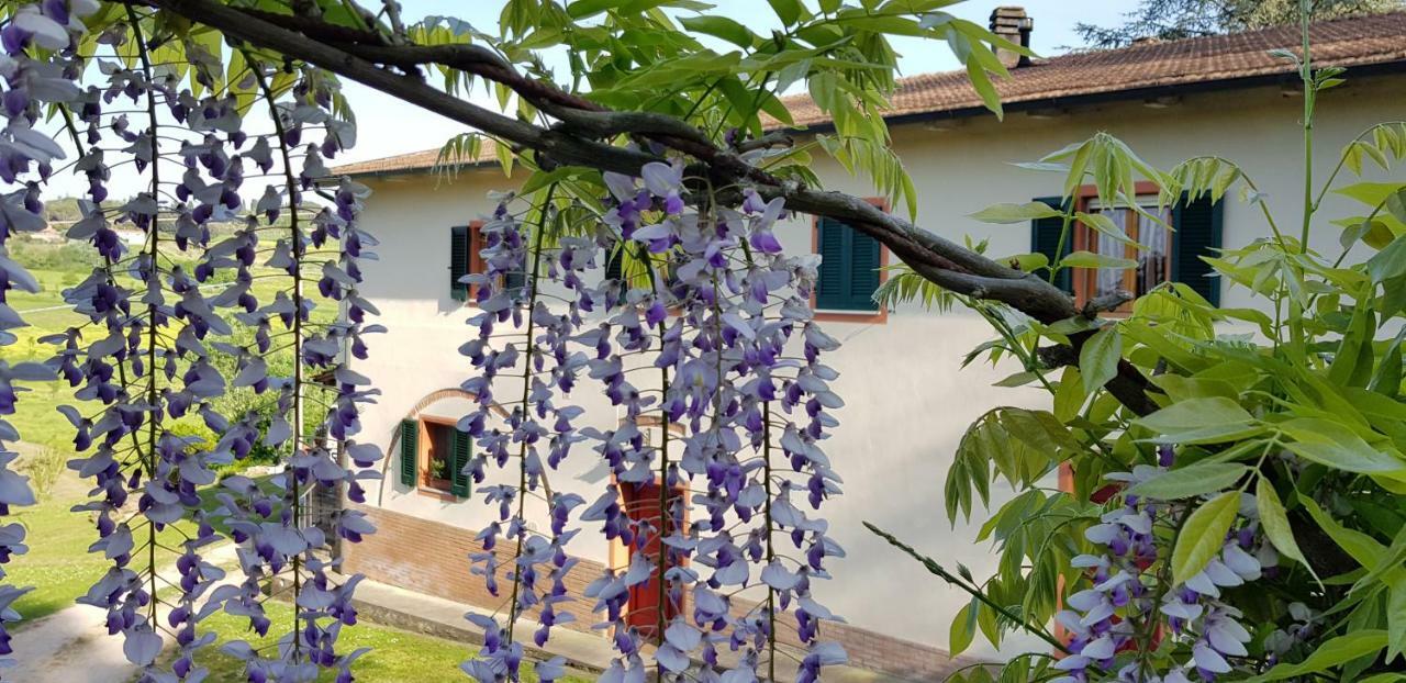 Podere Chiasso Gherardo Peccioli 外观 照片